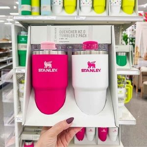 Stanley 20oz 2pk Quencher Tumblers. Pink Vibes & Frost
